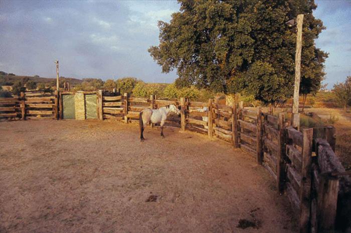 Casa Rural Finca Valvellidos Jaraiz de la Vera Exteriör bild